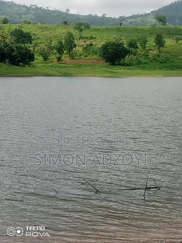 20 Acres of Farm Land for Sale · Photo 3