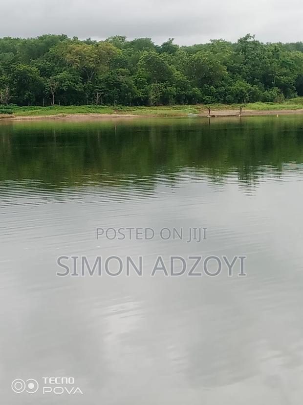 20 Acres of Farm Land for Sale · Photo 4