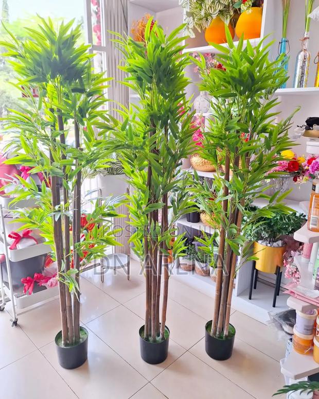 Large Potted Faux Bamboo Plant
Measures 1.7m Long · Photo 2