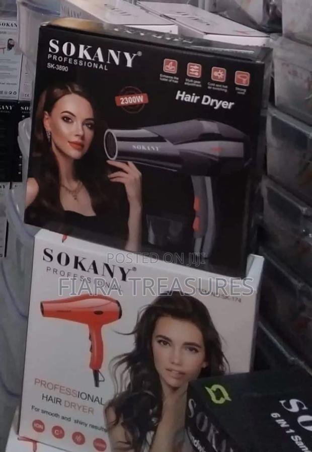 Professional Hair Dryer