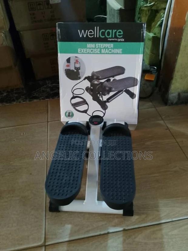 Well Care Mini Stepper · Photo 2