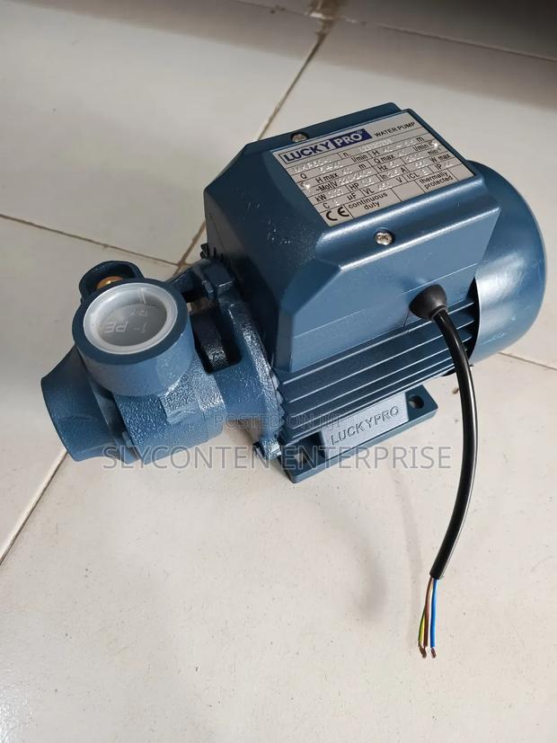 Lucky Pro 0.5hp Water Pump · Photo 4