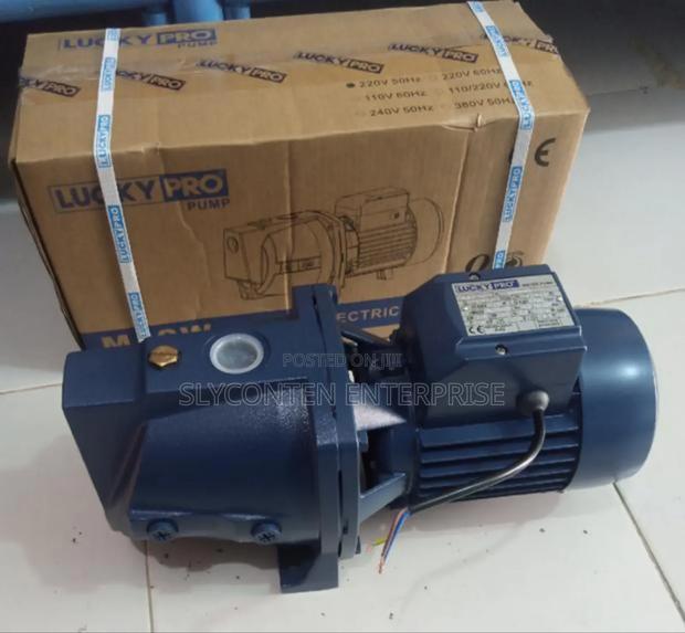 Lucky Pro 1.0hp Water Pump · Photo 3