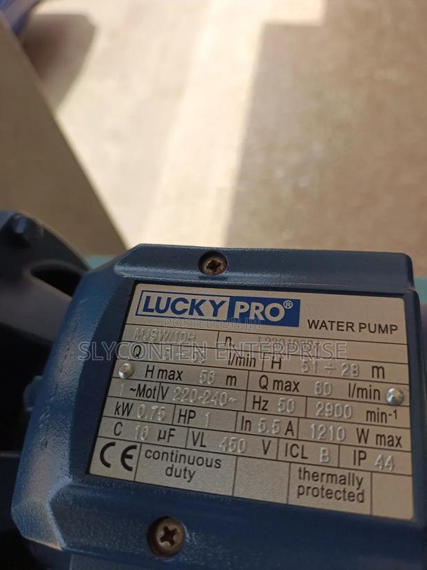 Lucky Pro 1.0hp Water Pump · Photo 4