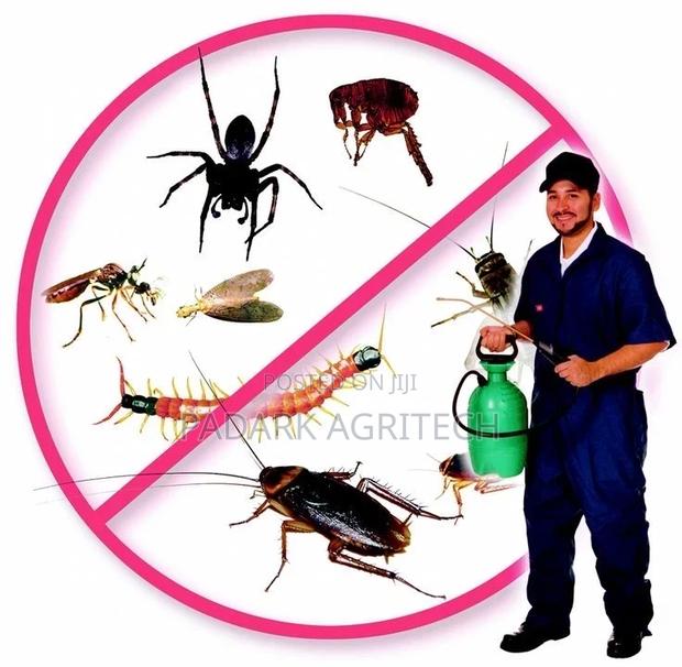 Fumigation Services · Photo 3