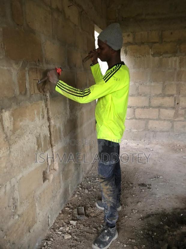 Professional Electrician