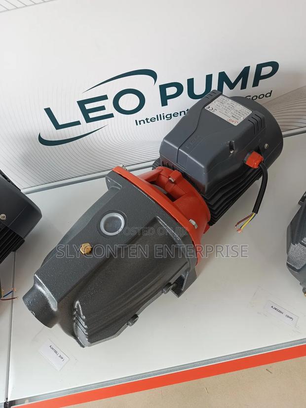 Leo 2hp Water Pump · Photo 2