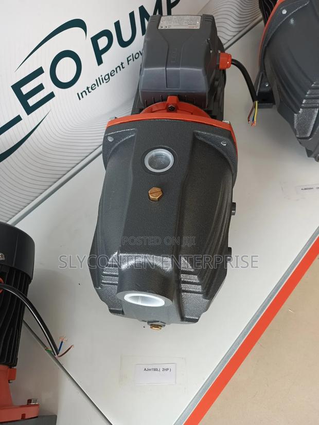 Leo 1.5hp Water Pump (Ajm90) · Photo 2