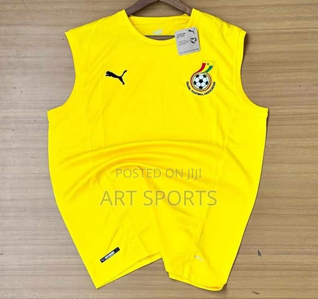Ghana Blackstar Puma Training Kit · Photo 3
