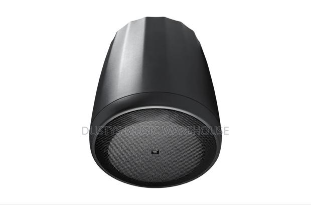 Control 65 P/T Compact Full-Range Pendant Speaker
