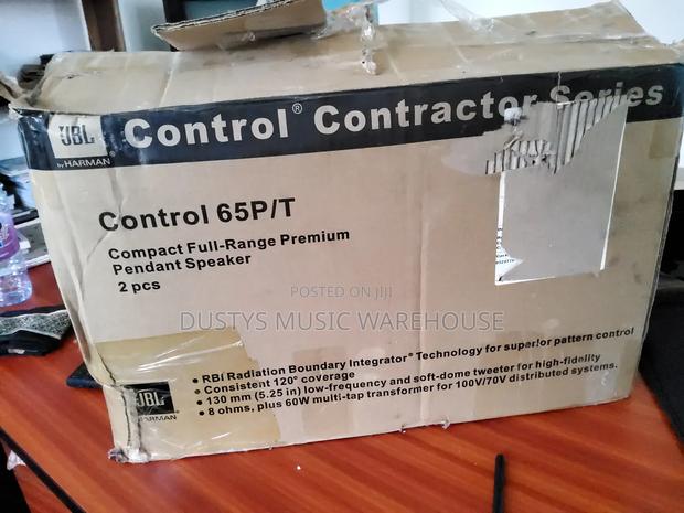 Control 65 P/T Compact Full-Range Pendant Speaker photo 5