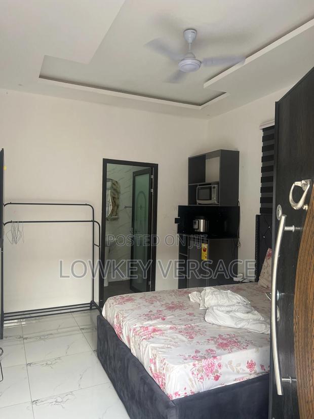 Furnished Studio Apartment + Gen+Starlink Internet+ DSTV photo 4