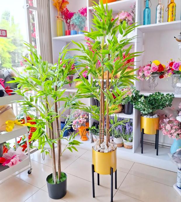 Bamboo Plant and Metallic and Gold Planter · Photo 4