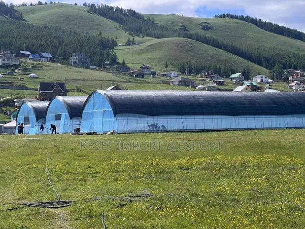 Green House - Imported