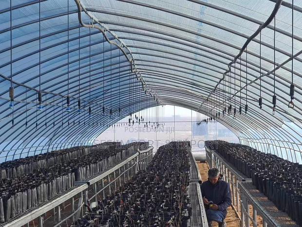 Green House - Imported photo 3