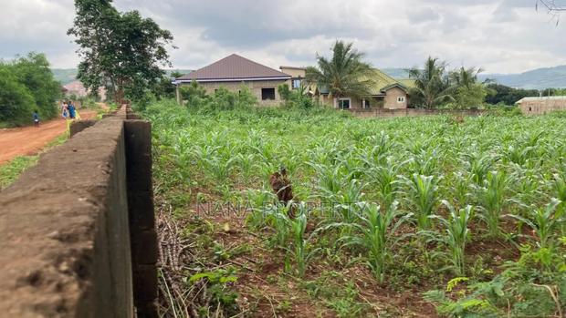 Two Plots of Land for Sale Located at Oyarifa Kuotaam Estate · Photo 2