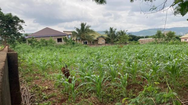 Two Plots of Land for Sale Located at Oyarifa Kuotaam Estate · Photo 3