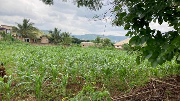 Two Plots of Land for Sale Located at Oyarifa Kuotaam Estate · Photo 4