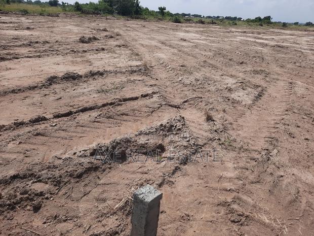 Serene Beach Road Plots at Prampram · Photo 3