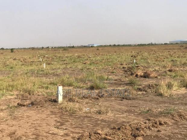Half Plot Reduction Promotion at Prampram Beach Lane · Photo 3