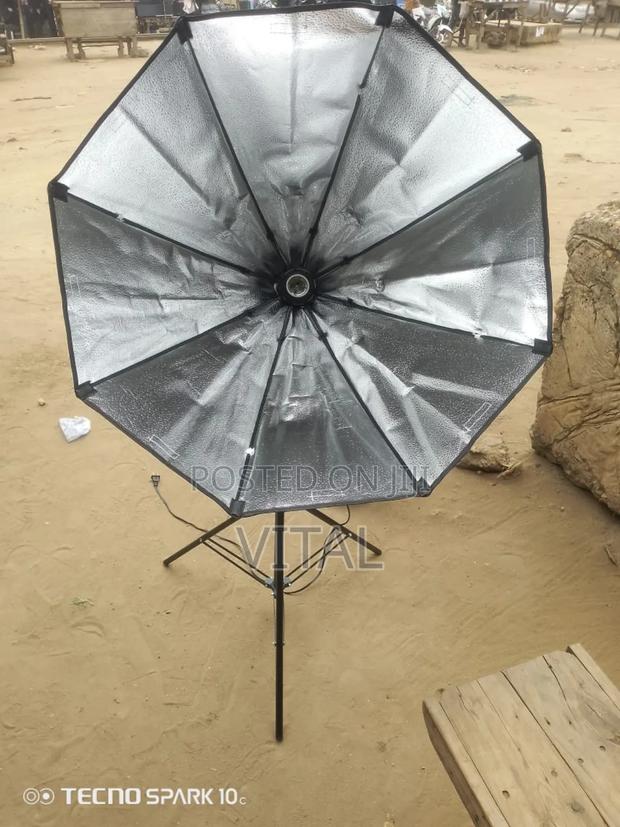 Limostudio photo 2