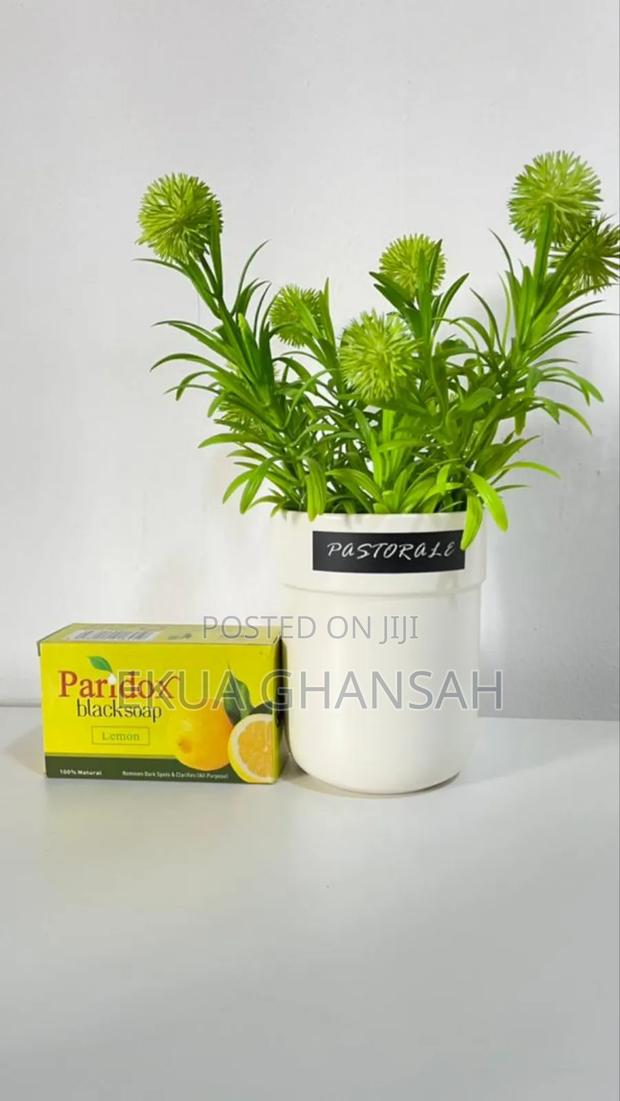 Paridox Black Soap · Photo 4
