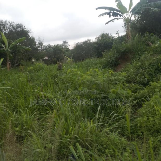 Farm Land for Sale · Photo 3
