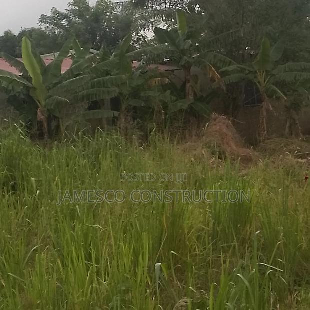 Farm Land for Sale · Photo 4