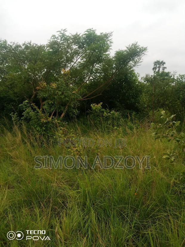 1000 Acres Available Farm Land For Sale