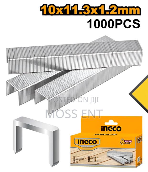 Staples for Hsg1404/Hsg1405 - Sts0210 · Photo 2