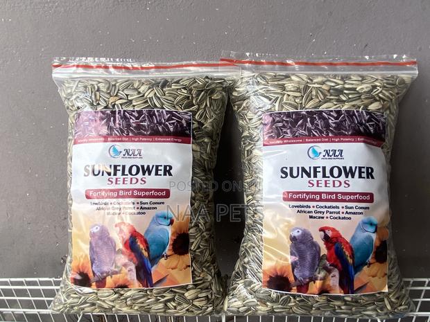 Sun Flower Seed · Photo 4