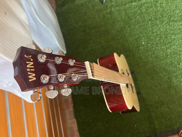Semi Acoustic + Free Bag Etc photo 5