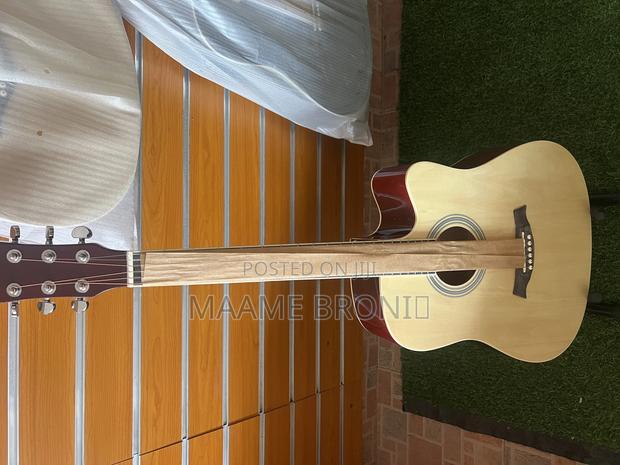 Semi Acoustic + Free Bag Etc
