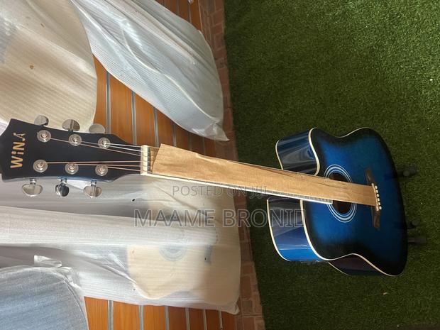 Semi Acoustic + Accessories/Bag photo 4