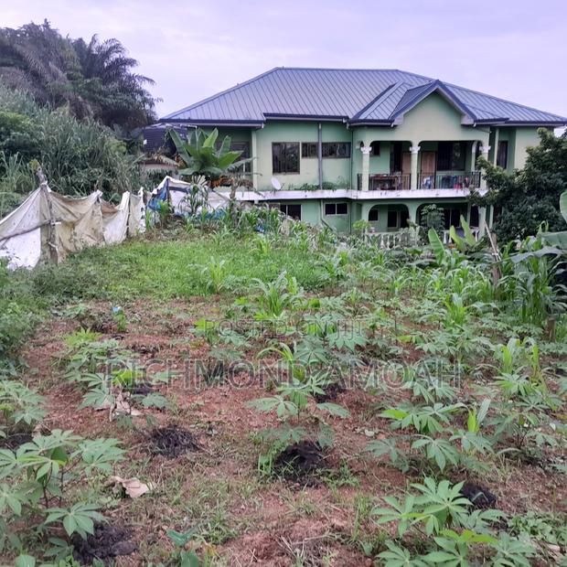 Half Plot for Sale at West Fijia · Photo 3