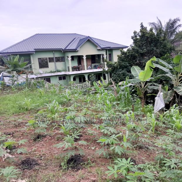Half Plot for Sale at West Fijia · Photo 4