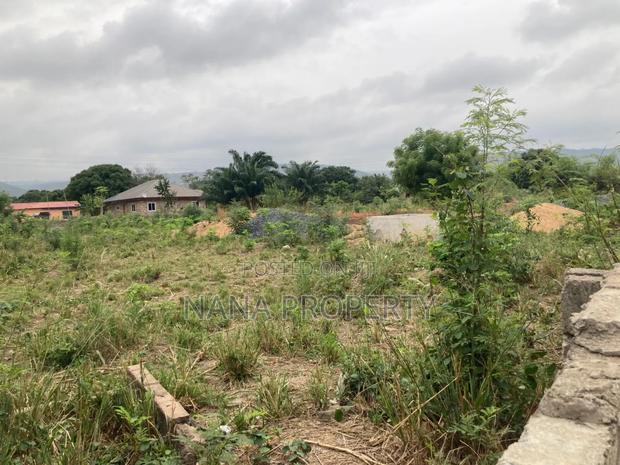 Twenty Acres of Land for Sale Located at Oyibi Bawaleshi · Photo 3