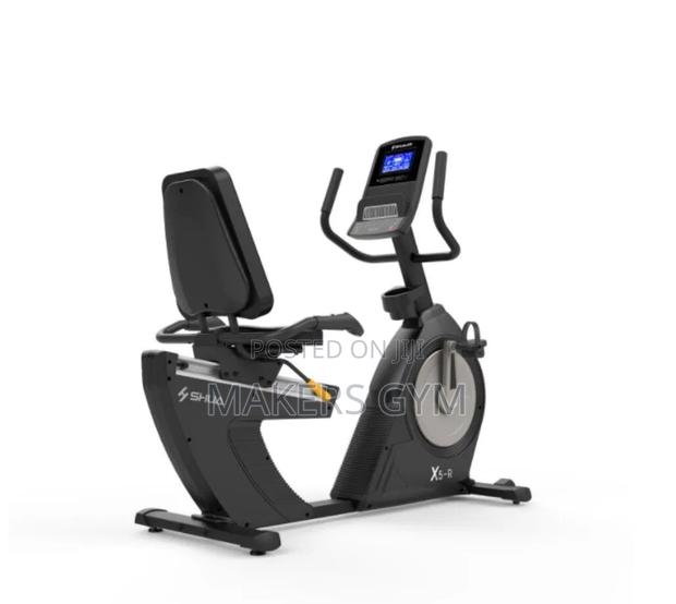 Recumbent Bike( Walk-Through) Commercial · Photo 4