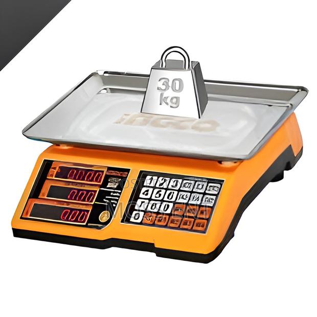 Lithium-Ion Scale 12v 30kg - Ces1301 · Photo 2