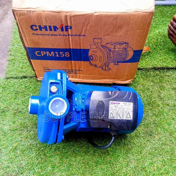 Water Pump Chimp 1.0hp Stainless Steel Jet Pump CPM158 · Photo 2