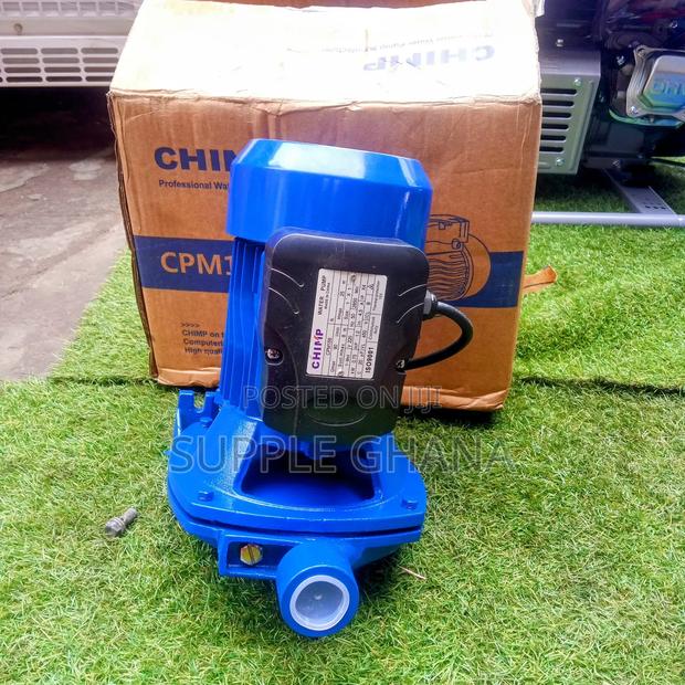 1.0hp CHIMP Professional Water Pump CPM158 Stainless Steel · Photo 2