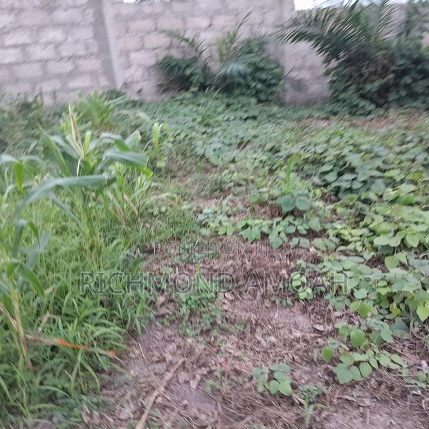 Half Plot for Sale at Assekea New Jersey · Photo 1