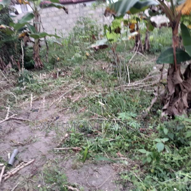 Half Plot for Sale at Assekea New Jersey · Photo 3