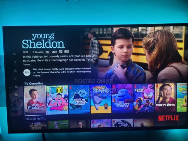 Netflix Account ( Amazon Prime/ Disney/Hulu)