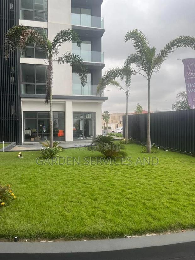 Gardening and Landscaping Service Available photo 4