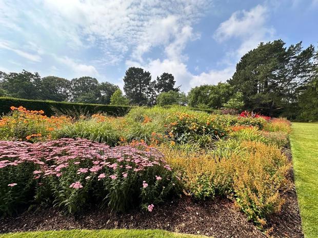Gardening and Landscaping Service Available photo 7