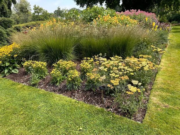 Gardening and Landscaping Service Available photo 8