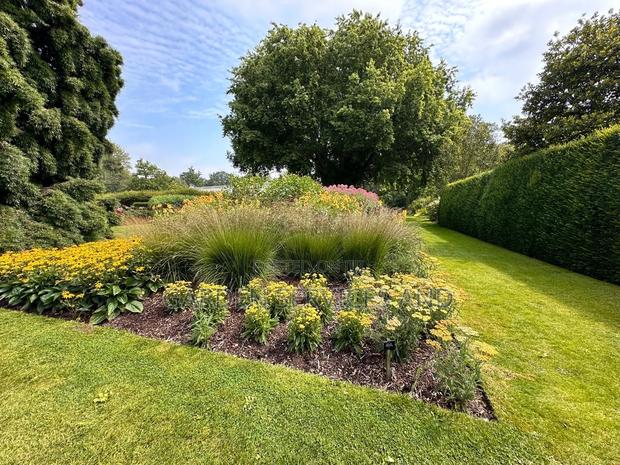 Gardening and Landscaping Service Available photo 10
