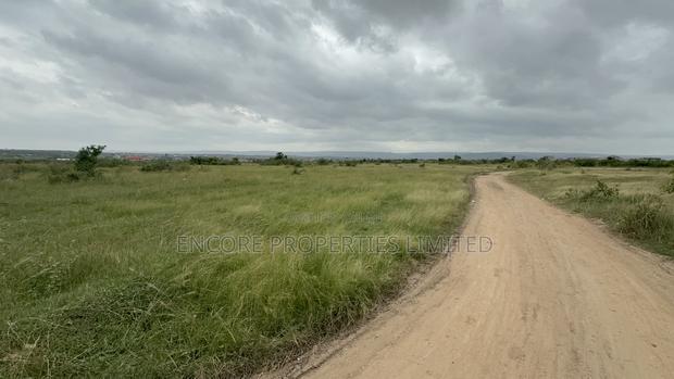 10 Acres of Titled Land Now Selling in Katamanson · Photo 3