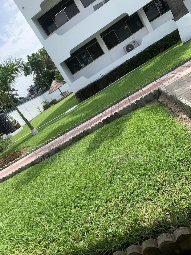 Gardening and Landscaping Service Available photo 6